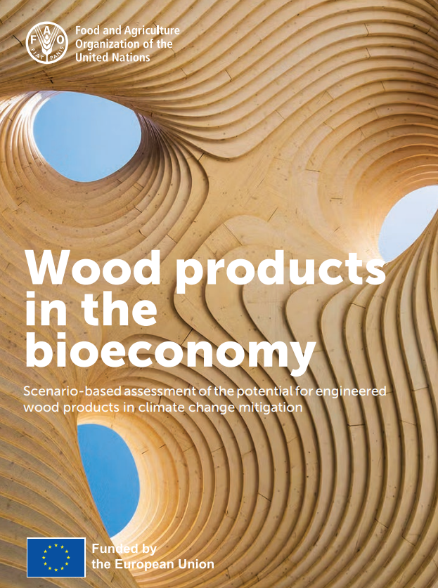 Wood products in the bioeconomy Scenario-based assessment of the potential for engineered wood products in climate change mitigation